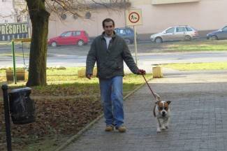 Subotnja šetnja gradom: Požega, 11.1.2014.