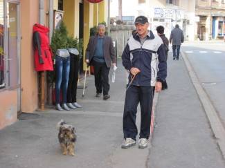 Šetnja Požegom, Pakracom i Pleternicom, 14.1.2014.