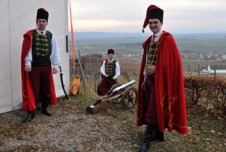 Vincelovo u Kutjevu d.d.