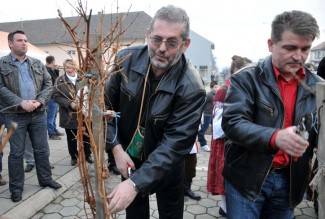Dođite na Vincelovo da zajedno uživamo u specijalitetima, tamburama i vinu