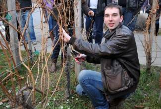 Dođite na Vincelovo da zajedno uživamo u specijalitetima, tamburama i vinu