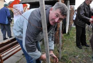 Dođite na Vincelovo da zajedno uživamo u specijalitetima, tamburama i vinu