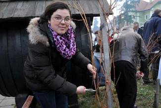 Dođite na Vincelovo da zajedno uživamo u specijalitetima, tamburama i vinu