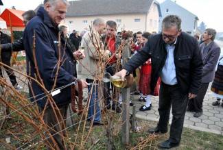 Dođite na Vincelovo da zajedno uživamo u specijalitetima, tamburama i vinu