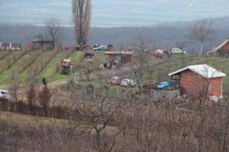 Vincelovo u pleterničkim vinogradima