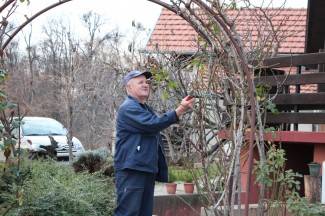 Vincelovo u pleterničkim vinogradima