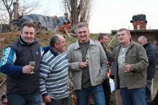 Vincelovo u pleterničkim vinogradima