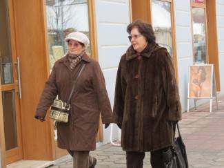 Šetnja Požegom i Pleternicom, 30.1.2014.