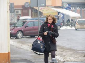 Šetnja Požegom i Pleternicom, 30.1.2014.