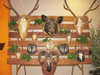 Promo galerija: Lovački bal u Pakracu