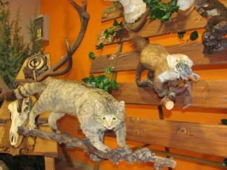 Promo galerija: Lovački bal u Pakracu