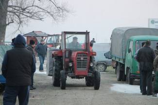 Stočni sajam u Pleternici: Pogledajte današnju ponudu
