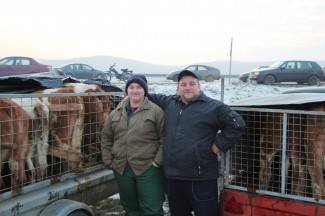 Stočni sajam u Pleternici: Pogledajte današnju ponudu