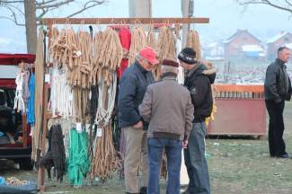 Stočni sajam u Pleternici: Pogledajte današnju ponudu