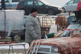 Stočni sajam u Pleternici: Pogledajte današnju ponudu