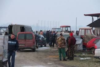 Stočni sajam u Pleternici: Pogledajte današnju ponudu