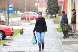 Subotnja šetnja Pleternicom i Kutjevom, 8.2.2014.