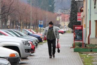 Subotnja šetnja Pleternicom i Kutjevom, 8.2.2014.