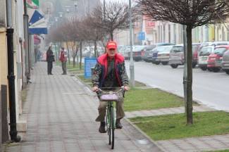 Šetnja gradom: Pleternica, 12.2.2014.