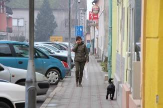 Šetnja gradom: Pleternica, 12.2.2014.