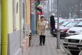 Šetnja gradom: Pleternica, 12.2.2014.