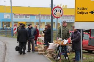 Šetnja gradom: Pleternica, 12.2.2014.