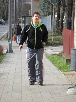 Subotnja šetnja Požegom, Pleternicom i Lipikom