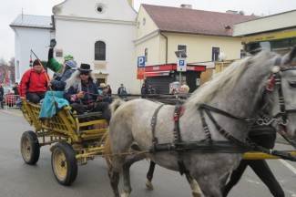 Požeške maškare 2014.