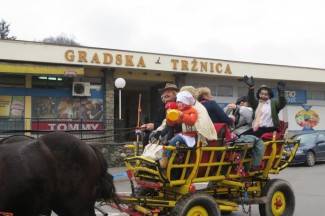 Požeške maškare 2014.