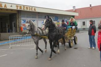 Požeške maškare 2014.