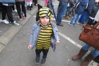 Požeške maškare 2014.