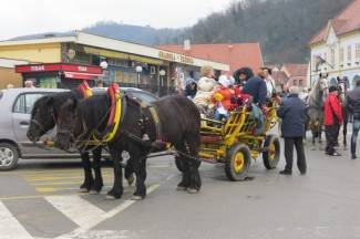 Požeške maškare 2014.