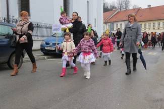 Požeške maškare 2014.