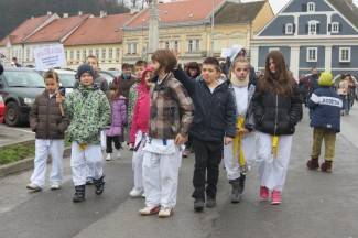 Požeške maškare 2014.