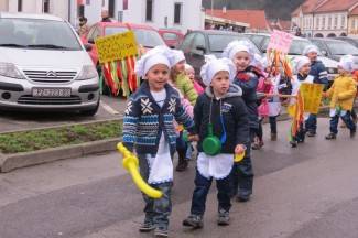 Požeške maškare 2014.