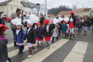 Požeške maškare 2014.