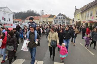 Požeške maškare 2014.