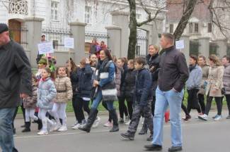 Požeške maškare 2014.