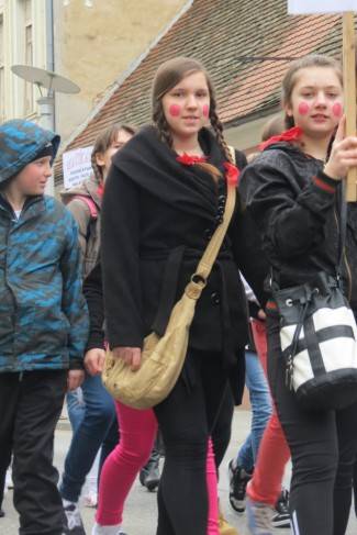 Požeške maškare 2014.