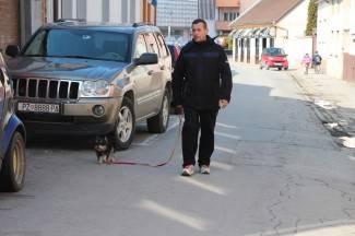 Lijep i sunčan dan u Požegi