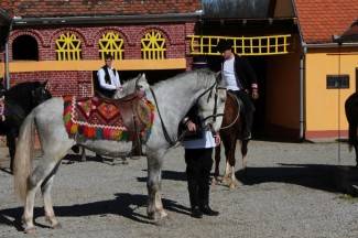 Pokladno jahanje u Zagrađu, Bučju i Brodskom Drenovcu