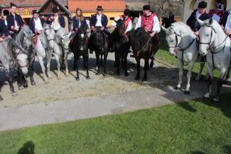 Pokladno jahanje u Zagrađu, Bučju i Brodskom Drenovcu