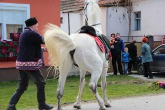 Pokladno jahanje u Zagrađu, Bučju i Brodskom Drenovcu
