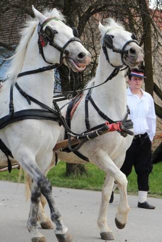 Pokladno jahanje u Zagrađu, Bučju i Brodskom Drenovcu
