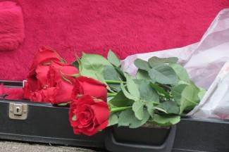 Subotnja svirka gradom: Dan žena s Poseganom