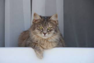 Lijep i sunčan dan: Šetnja Pleternicom i Kutjevom