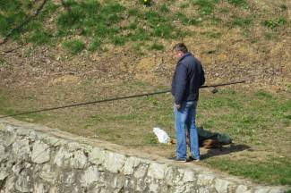 Lijep i sunčan dan: Šetnja Požegom, 13.3.2014.