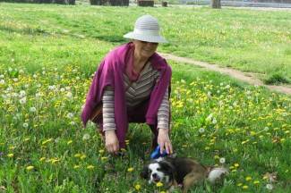 Lijep i sunčan dan: Šetnja Požegom