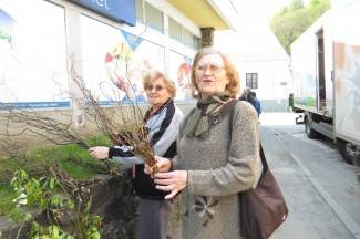 Šetnja gradom: Lijep i sunčan dan u Požegi