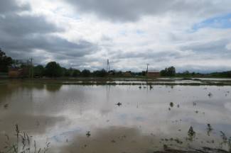 ¨Krivci su ljudi u Hrvatskim vodama i Tekiji koji rade po svom¨